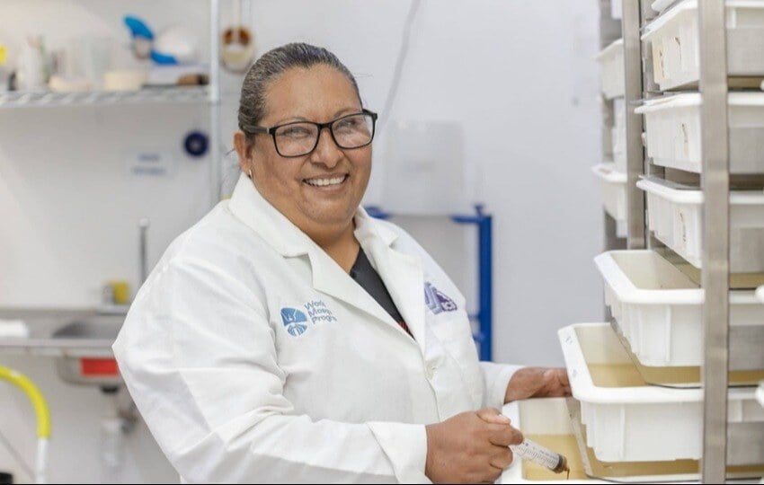 hone-product-design-supply-world-mosquito-program-1-1